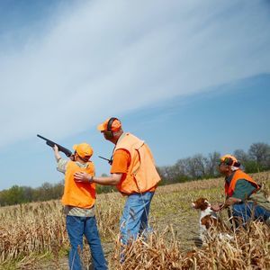 Meet your Posher, Bruce